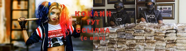 спайс Алзамай