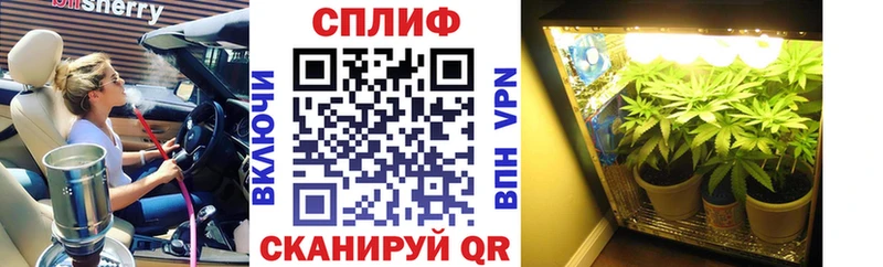 Конопля SATIVA & INDICA  продажа наркотиков  Анапа 